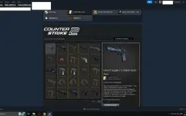 Conta Prime Cs2 3Kh Saldo, Skins, 20Gc, 10Faceit 16Kpontos