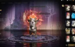 Conta Ymir Servidor Marcoveio