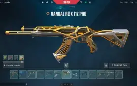 conta valorant muita skin