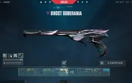 conta valorant muita skin