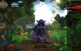 Conta wow +13 personagens LVL max
