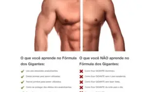 SISTEMA O PONTO ZERO +FORMULA DOS GIGANTES