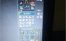 Royal palladin lvl 255 p.a 150 dias