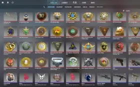 Cs 2 33 Medalhas Raras | 6600 Horas | Steam Level 111.