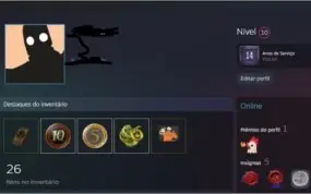 STEAM OLD 15 ANOS PRIME