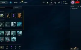 Conta com 16 Skin's