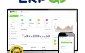 Programa Saas - Erpgo - Solução Empresarial
