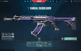 Conta De Valorant 470 Gasto Ex Dima