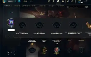 Unranked com 35 Champs e 9 Skins