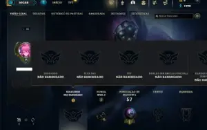 Unranked com 35 Champs e 6 Skins