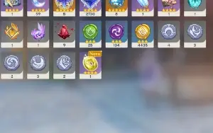 Furina + Biss RANK 47