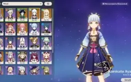 Ar 54 Ayaka,Yae Miko,Venti,Andarilho + 3 Armas 5 Estrelas