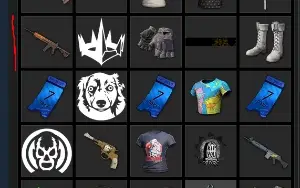 CONTA PUBG LEVEL 500, ALERQUINA, m4 hallowen lv 1, mini lv 1