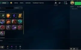 CONTA SIMPLES 112 CAMPEÕES E SKIN ULTIMATE