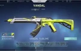 CONTA VALORANT BETA + IMORTAL 1 + MUITAS SKINS