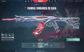 conta de valorant R$700 gasto