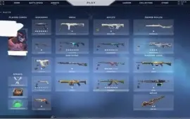 Conta de Valorant com muitas skins