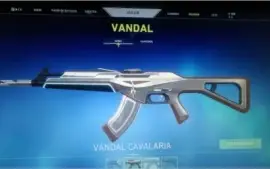 Conta valorant RADIANTE,muitas skins!