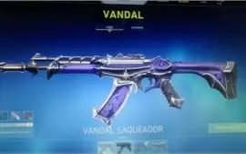Conta valorant RADIANTE,muitas skins!