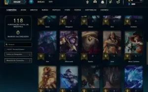 Unranked com 40 Champs e 10 Skins ( MAIN SUP )