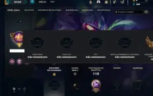 Unranked com 40 Champs e 10 Skins ( MAIN SUP )
