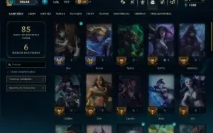 Unranked com 45 Champs e 8 Skins