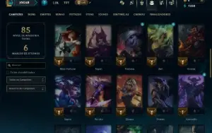 Unranked com 45 Champs e 8 Skins