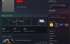 Vendo conta na steam com items de CS:GO faca butterfly prime