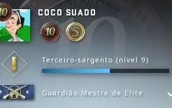 CSGO PRIME + 14 ANOS + MEDALHAS 10, 5 ATIVAS + LEVEL 15 GC