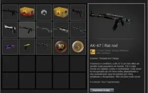 CSGO PRIME + 14 ANOS + MEDALHAS 10, 5 ATIVAS + LEVEL 15 GC