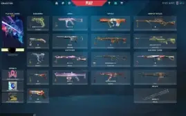 F/A 53 skins / RGX 11z Pro Firefly / Ruin Dagger