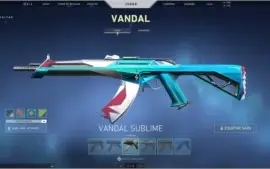 CONTA DO VALORANT COM MUITA SKIN