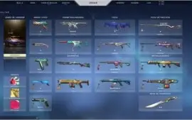 CONTA DO VALORANT COM MUITA SKIN