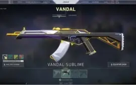 Conta RIOT - LOL Platina IV 147 skins. VALORANT Varias skins