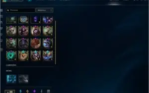 Conta Platina 5 Solo/Duo/Flex