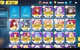 Honkai Impact Conta Lv 65
