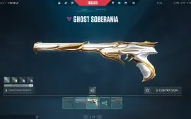 Conta Valorant Fa ( Full Acesso ) Skins E Platina 3