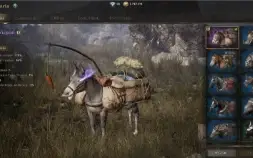 Conta Nightcrows Arqueiro Level 52 Naeu 101 Knight
