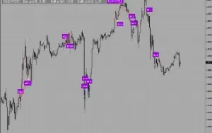 Hamster Scalping EA - Forex Expert Advisor Automatico