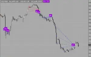 Hamster Scalping EA - Forex Expert Advisor Automatico