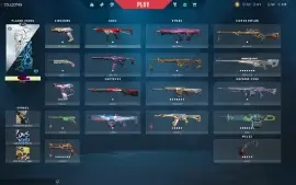 Conta de valorant  com skins (ja foi immortal 2)