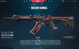 Conta de valorant  com skins (ja foi immortal 2)