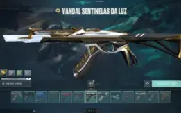 Conta valorant com muitas Skins