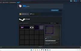 Steam Prime com CSGO + Medalhas