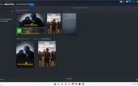 Steam Prime com CSGO + Medalhas