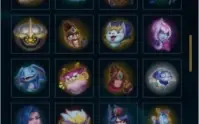 CONTA PLATINA MAIN SUPORTE 122 SKINS (Plat 2)