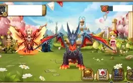 Conta SW Nat5 LD Pve 100%