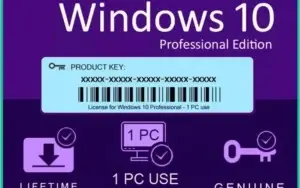Windows 10 Pro
