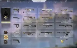 Vendo Conta Valorant com muitas skins