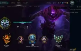 Conta Platina